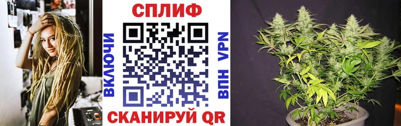  COCAIN Унеча