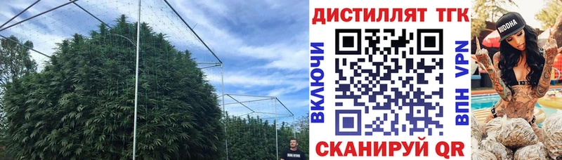 Дистиллят ТГК THC oil  сайты даркнета официальный сайт  Унеча  где можно купить наркотик 