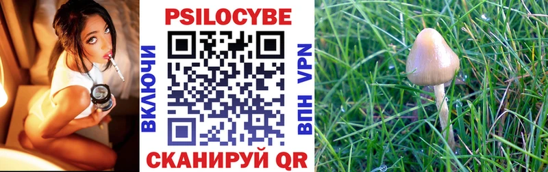 Галлюциногенные грибы прущие грибы  Унеча 