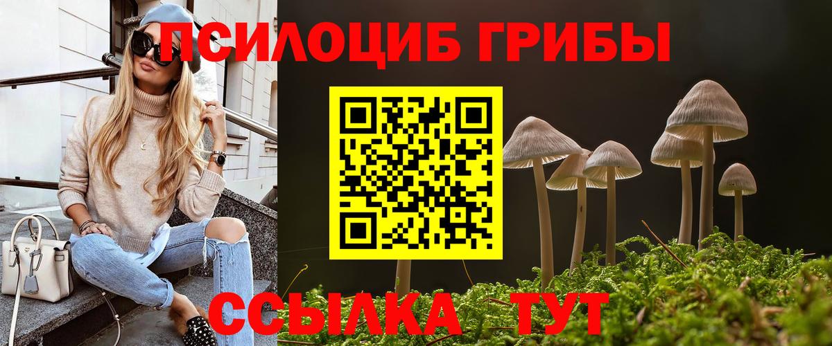 Унеча  Галлюциногенные грибы GOLDEN TEACHER  Галлюциногенные грибы Psilocybine cubensis  Вход с VPN 